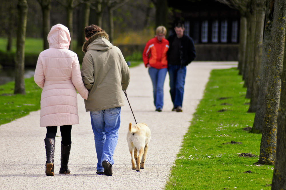 Lenox, MA Apartments Lenox School House Apartments Floor Plans